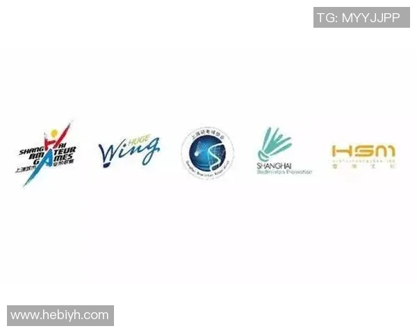 上海羽毛球队总决赛技术分析与表现评估全面解读